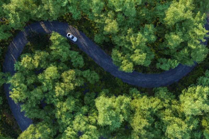 Adventure,Morning,Road,Trip,In,The,Forest,,Aerial,View,Of